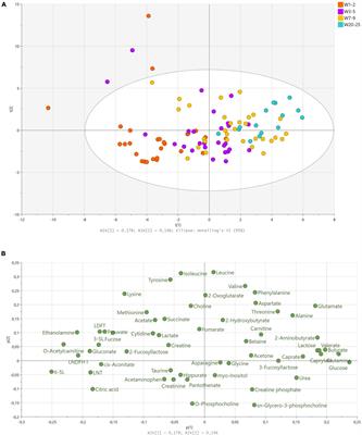 Dynamic Changes in the Human Milk Metabolome Over 25 Weeks of Lactation